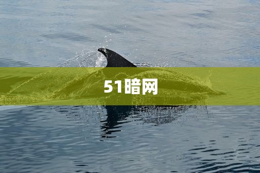 51暗网