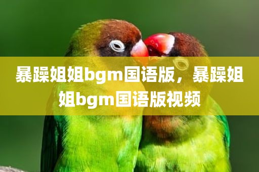 暴躁姐姐bgm国语版，暴躁姐姐bgm国语版视频