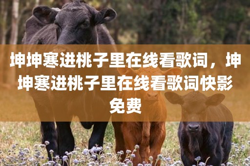 坤坤寒进桃子里在线看歌词，坤坤寒进桃子里在线看歌词快影免费