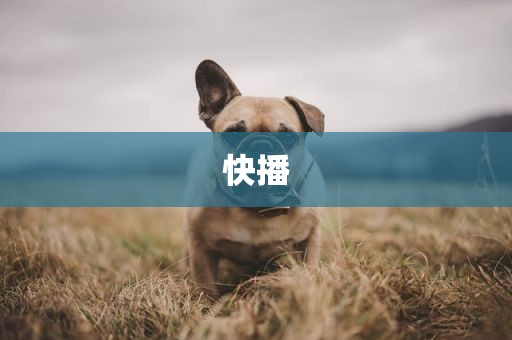快播