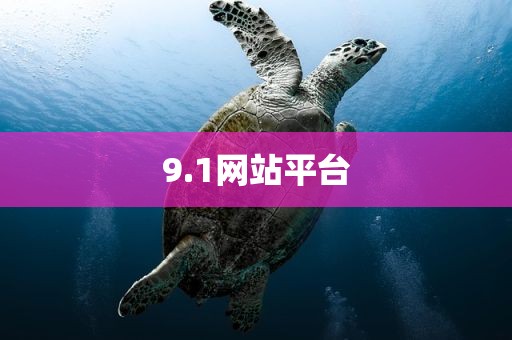 9.1网站平台