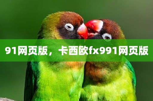 91网页版，卡西欧fx991网页版