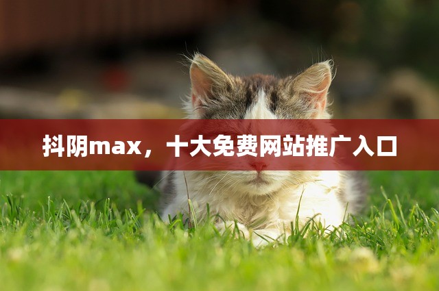 抖阴max，十大免费网站推广入口
