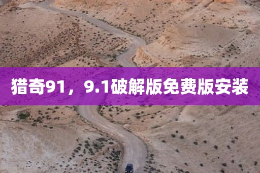 猎奇91，9.1破解版免费版安装