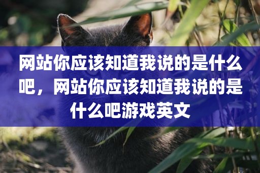 网站你应该知道我说的是什么吧，网站你应该知道我说的是什么吧游戏英文