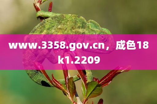 www.3358.gov.cn，成色18k1.2209