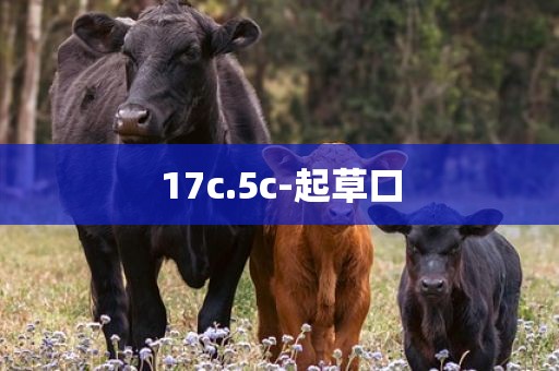17c.5c-起草口