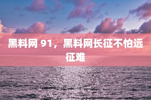 黑料网 91，黑料网长征不怕远征难