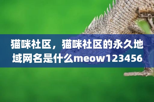 猫咪社区，猫咪社区的永久地域网名是什么meow123456