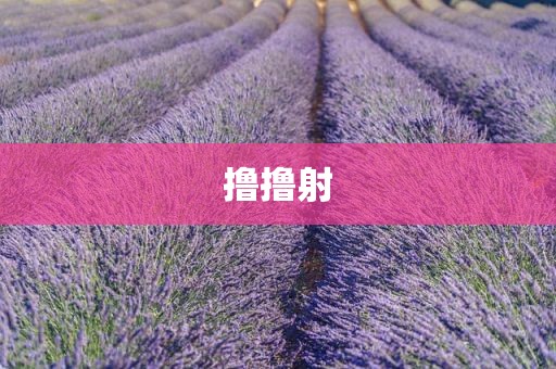 撸撸射