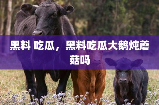 黑料 吃瓜，黑料吃瓜大鹅炖蘑菇吗