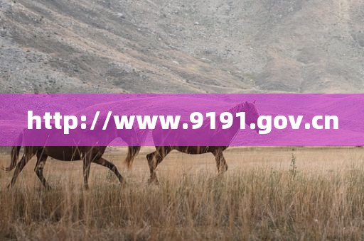 http://www.9191.gov.cn