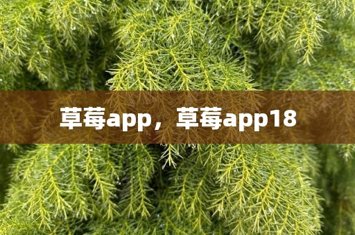 草莓app，草莓app18