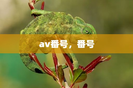 av番号，番号