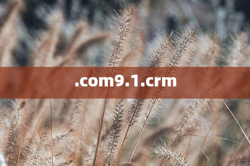 .com9.1.crm