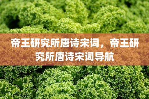 帝王研究所唐诗宋词，帝王研究所唐诗宋词导航