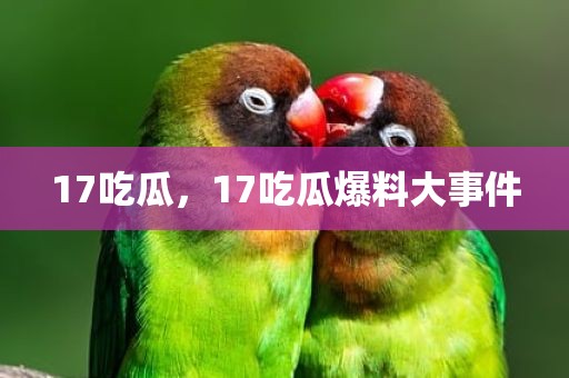 17吃瓜，17吃瓜爆料大事件