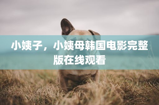 小姨子，小姨母韩国电影完整版在线观看