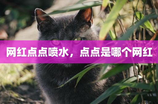 网红点点喷水，点点是哪个网红