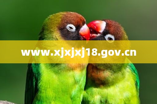 www.xjxjxj18.gov.cn