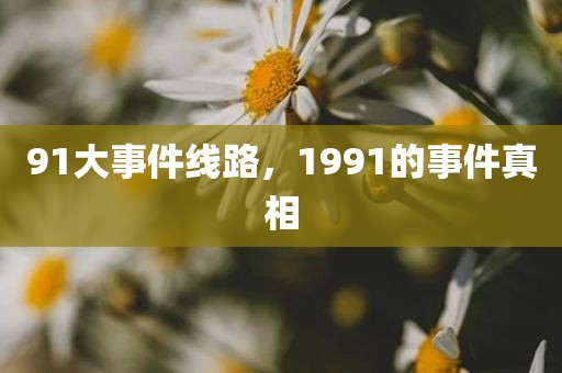 91大事件线路，1991的事件真相