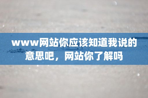 www网站你应该知道我说的意思吧，网站你了解吗