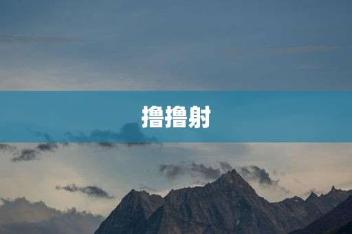 撸撸射