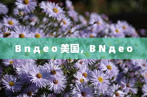 B n д e o 美国，B N д e o