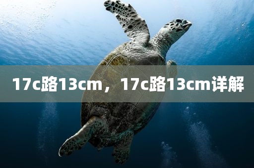 17c路13cm，17c路13cm详解