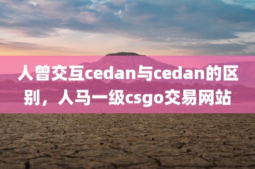 人曾交互cedan与cedan的区别，人马一级csgo交易网站