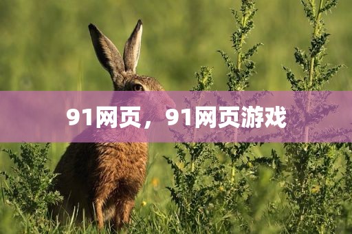 91网页，91网页游戏
