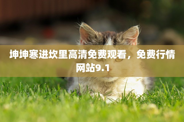 坤坤寒进坎里高清免费观看，免费行情网站9.1