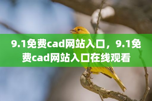 9.1免费cad网站入口，9.1免费cad网站入口在线观看