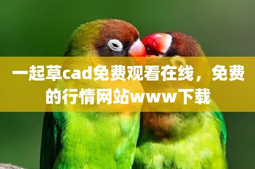 一起草cad免费观看在线，免费的行情网站www下载