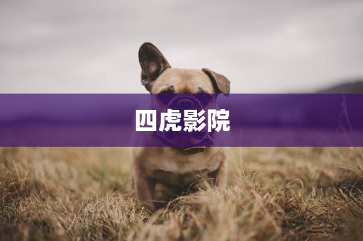 四虎影院