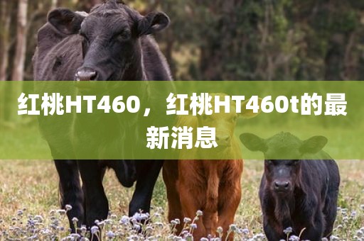 红桃HT460，红桃HT460t的最新消息