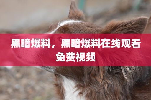 黑暗爆料，黑暗爆料在线观看免费视频