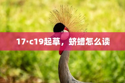 17·c19起草，蛴螬怎么读