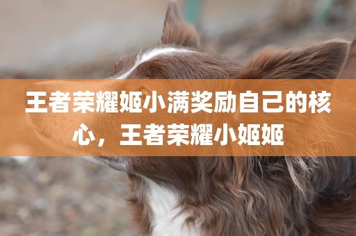 王者荣耀姬小满奖励自己的核心，王者荣耀小姬姬