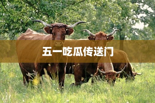 五一吃瓜传送门