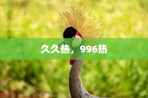 久久热，996热