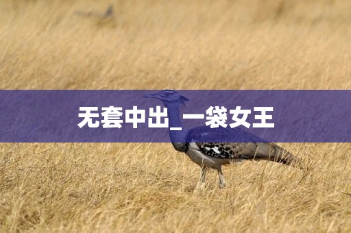 无套中出_一袋女王