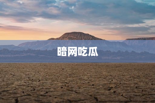 暗网吃瓜