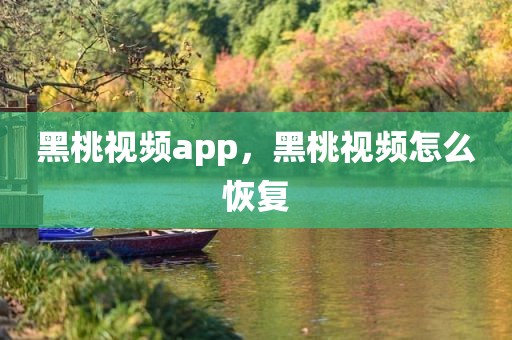 黑桃视频app，黑桃视频怎么恢复
