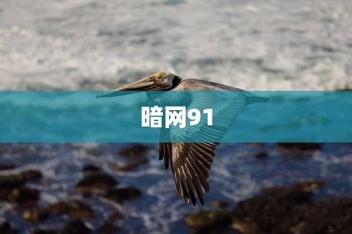 暗网91