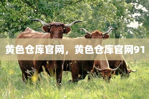 黄色仓库官网，黄色仓库官网91