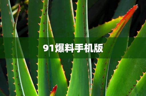 91爆料手机版