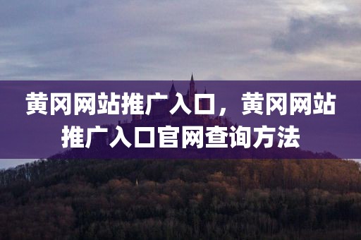 黄冈网站推广入口，黄冈网站推广入口官网查询方法