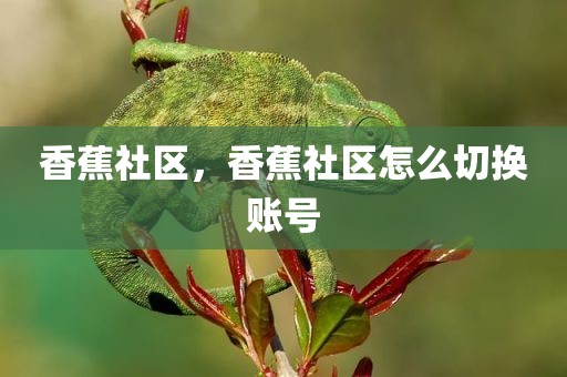 香蕉社区，香蕉社区怎么切换账号
