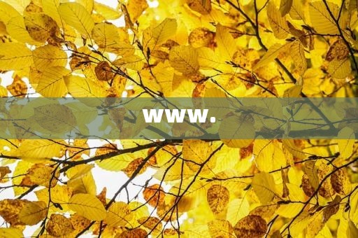 www.